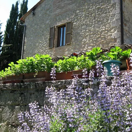 Agriturismo Il Caio Cetona Exterior photo