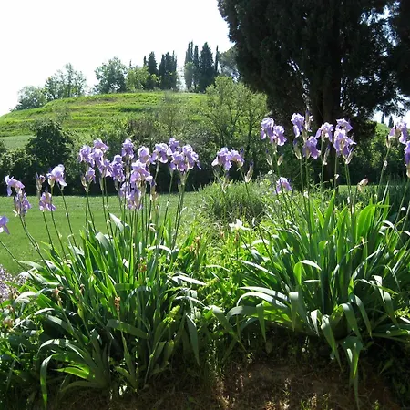 Agriturismo Il Caio Cetona Exterior photo