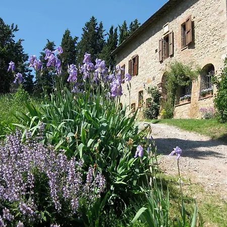 Agriturismo Il Caio Cetona Exterior photo