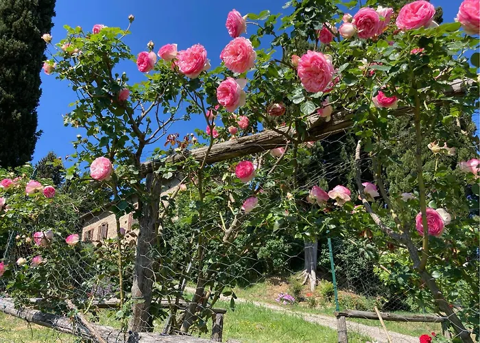 Agriturismo Il Caio