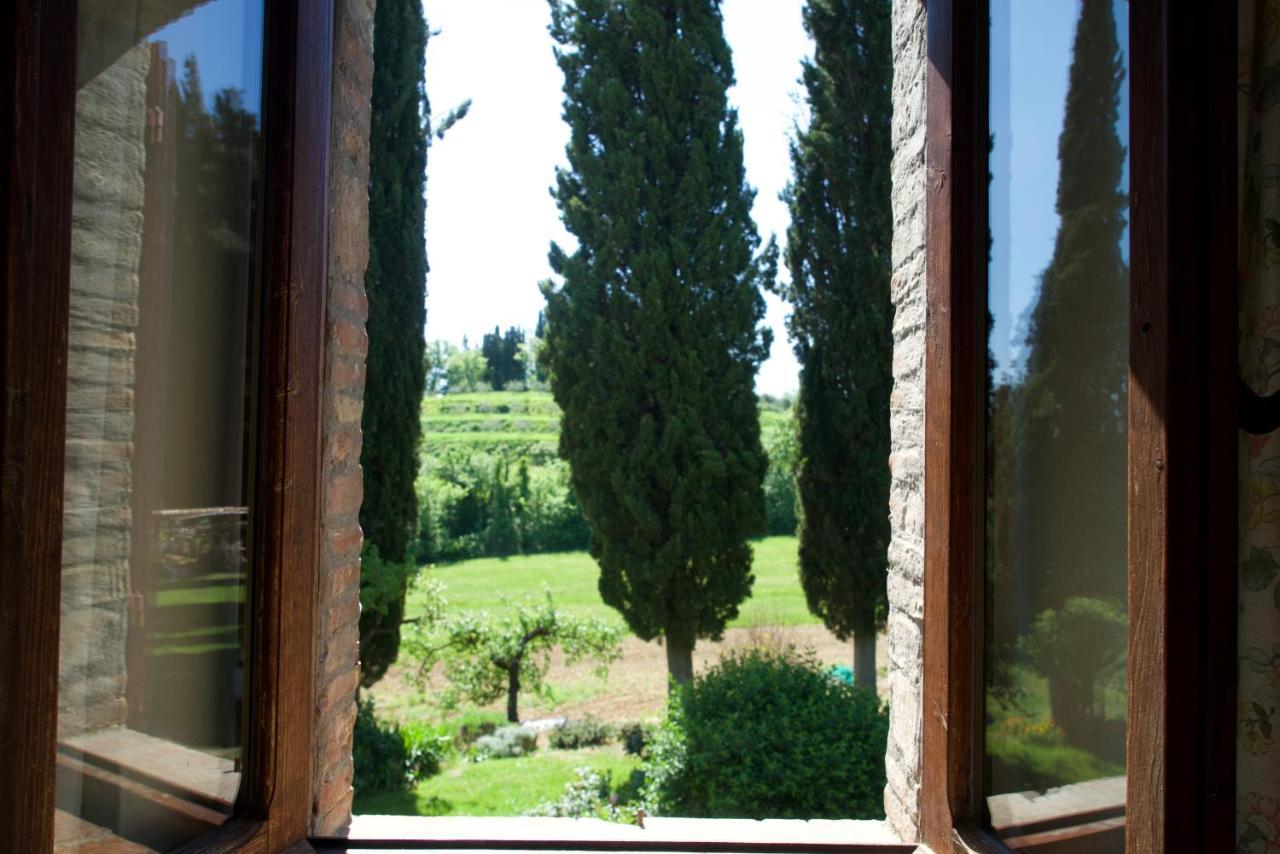 Il Caio Cetona