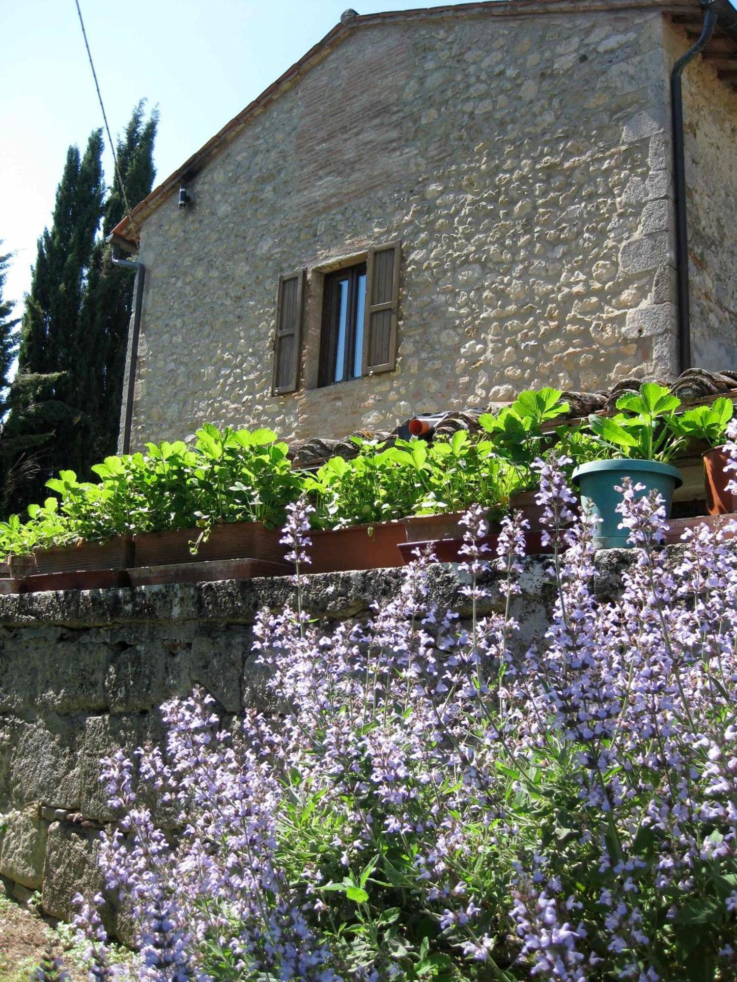 Holiday home Il Caio *