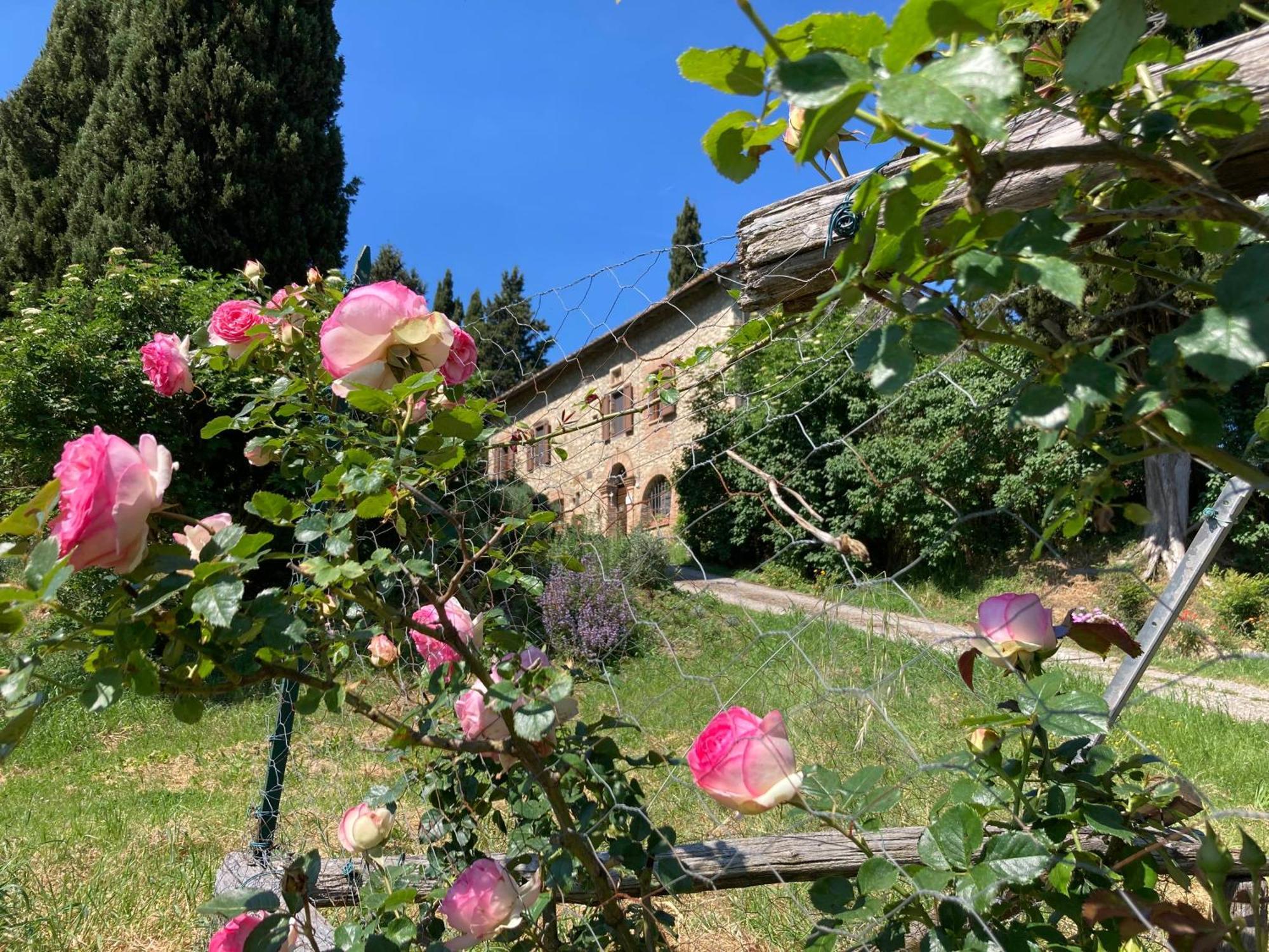 Il Caio Holiday home *