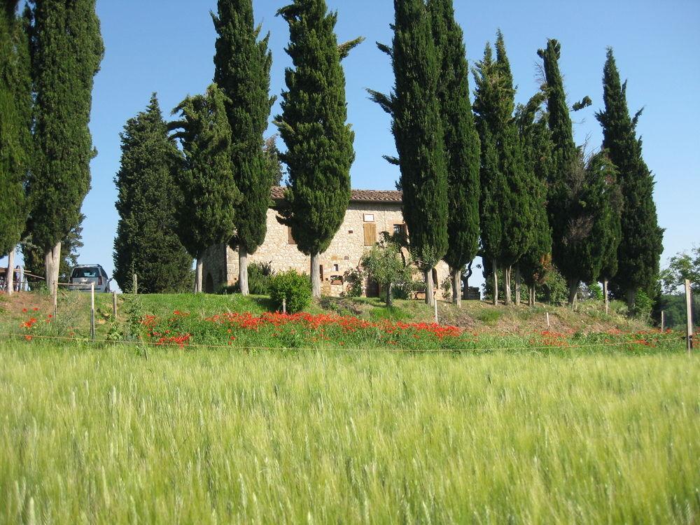 Il Caio